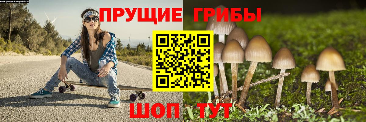 Псилоцибиновые грибы мухоморы  Вход с VPN  Сертолово 