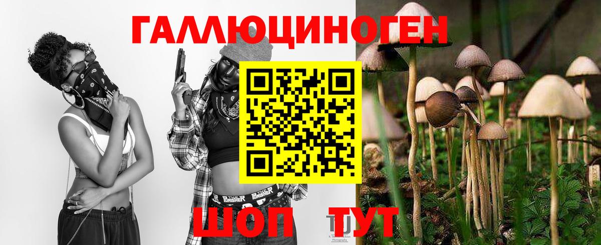 Галлюциногенные грибы мицелий Сертолово